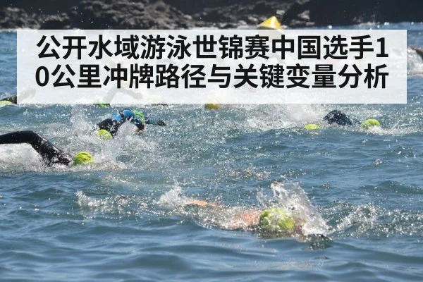 公开水域游泳世锦赛中国选手10公里冲牌路径与关键变量分析 | kaiyun